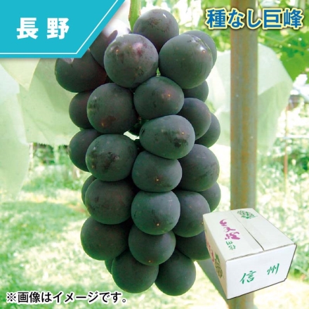 種なし巨峰
