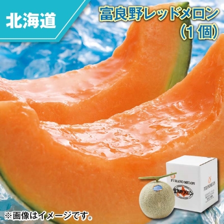 富良野レッドメロン（1個）