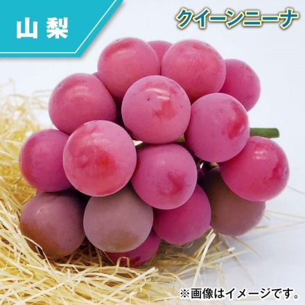 クイーンニーナ 1.2kg（2～3房）