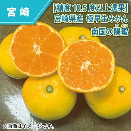 糖度10.5度以上選果 宮崎県産 極早生みかん 南国の陽蜜 4.5kg