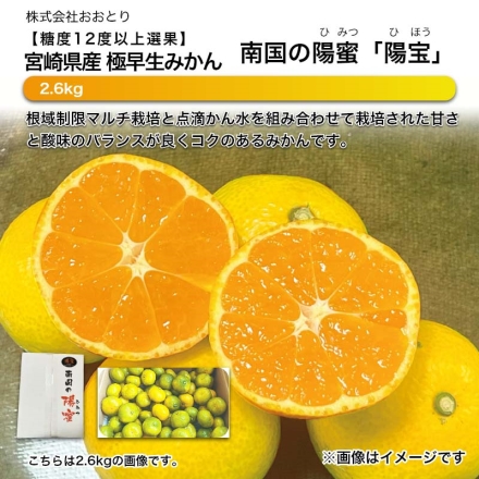糖度12度以上選果 宮崎県産 極早生みかん 南国の陽蜜「 陽宝 」 2.6kg