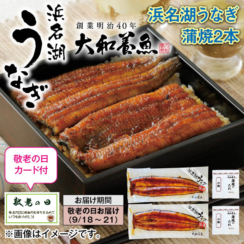 浜名湖うなぎ蒲焼2本