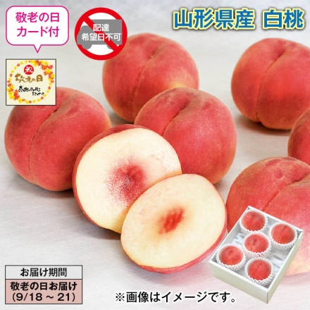 山形県産 白桃 1.5kg（4～6個）