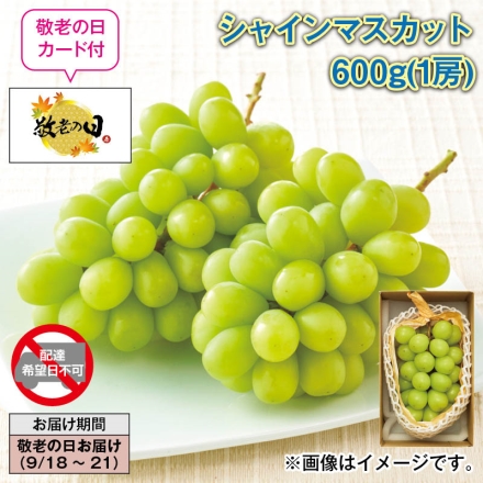 シャインマスカット 600ｇ（1房）