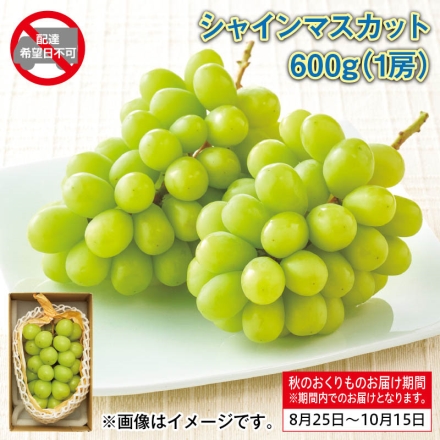 シャインマスカット 600ｇ（1房）