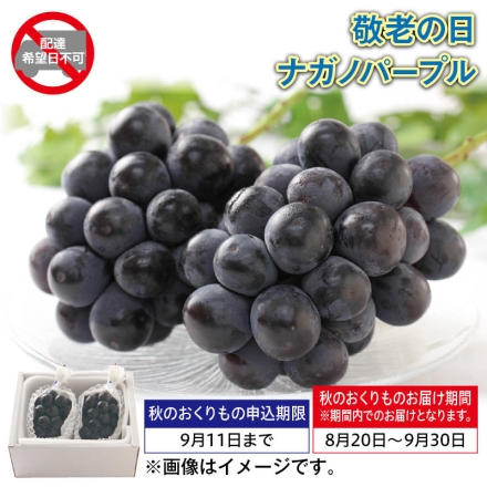 ナガノパープル 850g（2房）