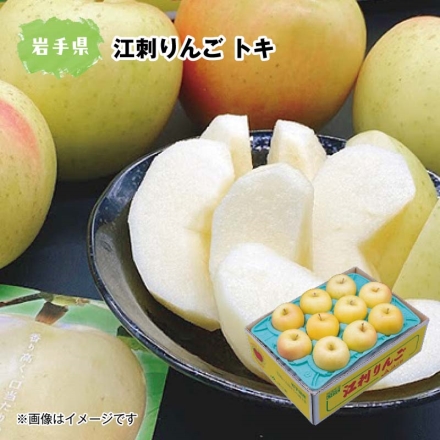 江刺りんご　トキ　２．３kg（７～１０個）