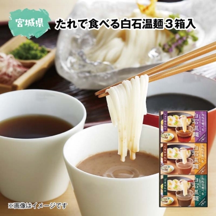 たれで食べる白石温麺3箱入