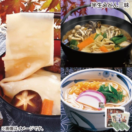 半生うどん三昧 織ひもかわ220g、おっきりこみ300g、名物うどん330g、めんつゆ30g×9