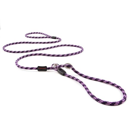 EZYDOG ルカリードライト パープル