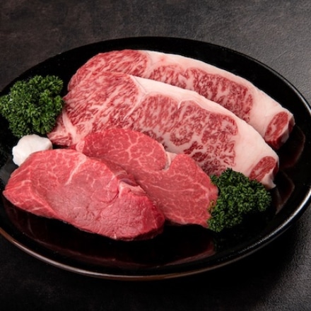 おおいた 豊後牛 ステーキセット サーロイン 180g×2枚 ヒレ 130g×2枚 合計620g