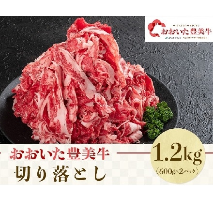 おおいた豊美牛 切り落とし 1200g（600g×2パック）