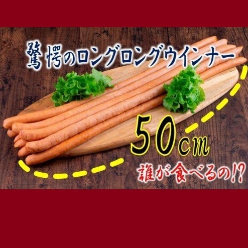 みやこハム 超ロング ウィンナー 170g×3本×3P 計1.53kg