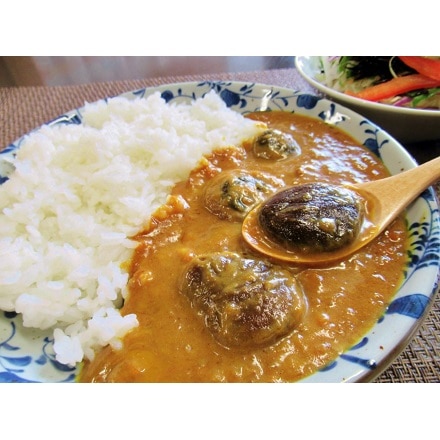 豊後きのこカレー 180g×10袋入り