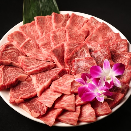 匠牧場 おおいた和牛 希少部位 4種 焼肉セット 800g