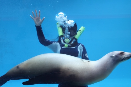 【静岡】下田海中水族館【予約不要】2名様 水族館入場券プラン