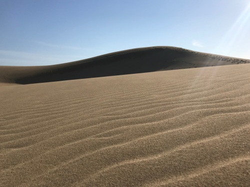【鳥取】砂丘会館　2名様 ランチプラン