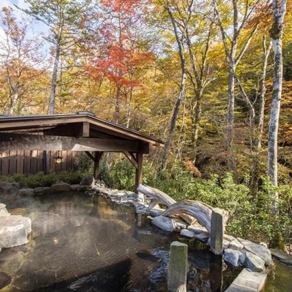 【栃木】塩の湯温泉 蓮月（共立リゾート）　2名様平休日1泊2食付