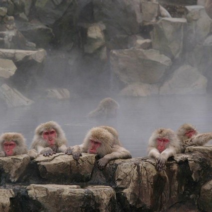 【長野】上林ホテル仙壽閣　2名様平休日1泊2食付