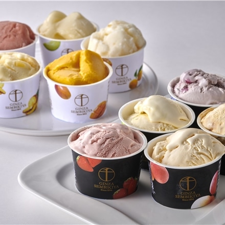 銀座千疋屋 銀座プレミアムアイス&ソルベ 10種 各2個 合計20個