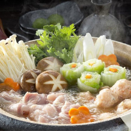 高知 土佐はちきん地鶏 モモ・ムネ 水炊用 500g