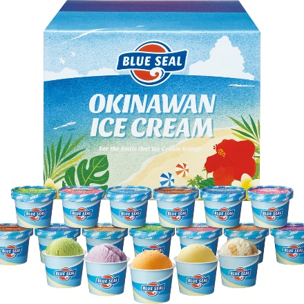 沖縄 ブルーシールアイス 12種 計18個