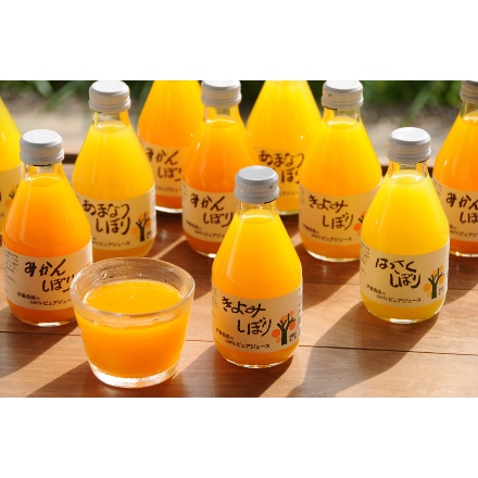 和歌山 「伊藤農園」5種の柑橘ジュース 10本