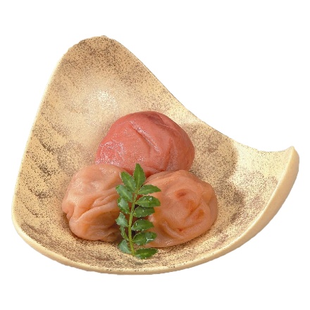 和歌山 紀州南高梅 つぶれ梅 1kg