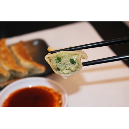 栃木 宇都宮餃子 「さつき」 セット　計45個