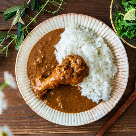 徳島 AWAODORI LAB 骨付きカレー・ガパオ・バターチキンカレー6個セット