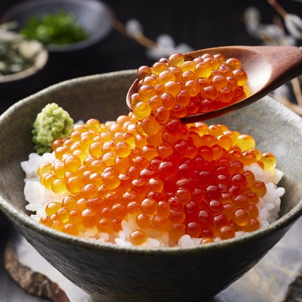 北海道産 いくら醤油漬け 40g×5パック