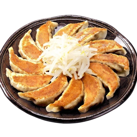 静岡 「五味八珍」 浜松餃子4袋セット