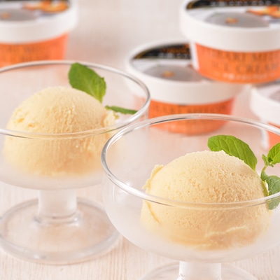 夕張メロンアイス 北海道 13個