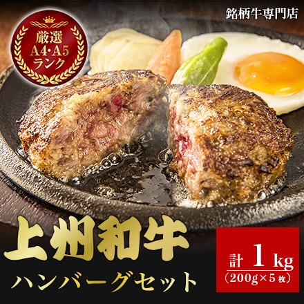 上州和牛 ハンバーグ セット 200g×5枚
