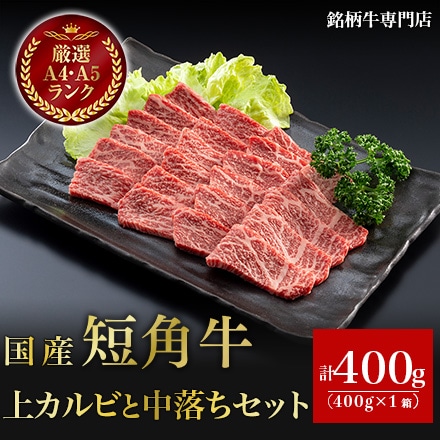 国産 短角牛 上カルビ 中落ち セット 400g 2～3人前