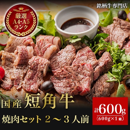 国産 短角牛 焼肉 セット 600g 2～3人前