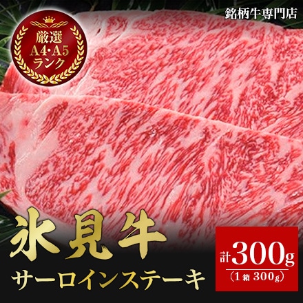 氷見和牛 サーロインステーキ 300ｇ