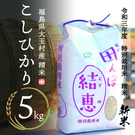 こしひかり 特別栽培米 精米 5kg 令和3年産