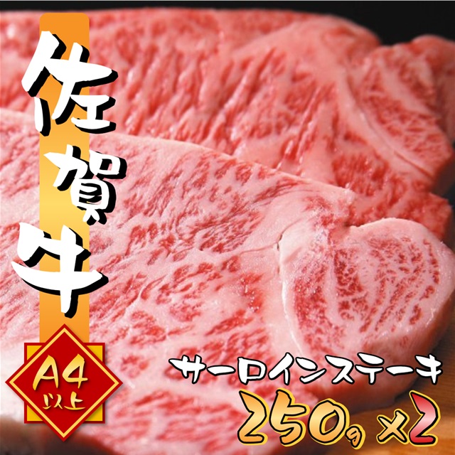 艶さし 佐賀牛 A4～A5 サーロイン ステーキ セット 500g (250gx2枚)