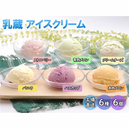 「乳蔵」 北海道アイスクリーム 6種 6個