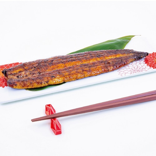 うなぎ 蒲焼き 国産 特々大211-249g×4尾 （約8人前）