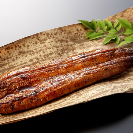 国産 うなぎ 蒲焼き 特大 ( 181～210g )×4尾 ( 約7人前 )
