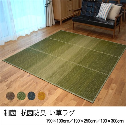 抗菌防臭・制菌加工 KOBA-GUARD い草ラグ クリア 190×250 グリーン