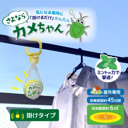 さよならカメちゃん 掛けタイプ