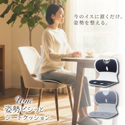 姿勢ビシッとシートクッション ブラック