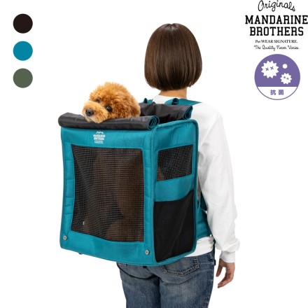 ブリクストンキャリーバックパック ブルーグリーン