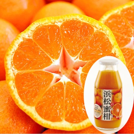 浜松の蜜柑 無添加 果汁100% ジュース 180ml×12本