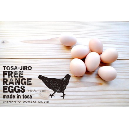 高知県 至極の卵 土佐ジローの極みたまご 10個入