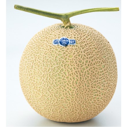 静岡 マスクメロン クラウン 2玉 約1.3kg x 2