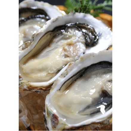 的矢かき 殻付き12 個 950g ～ 1. 2kg